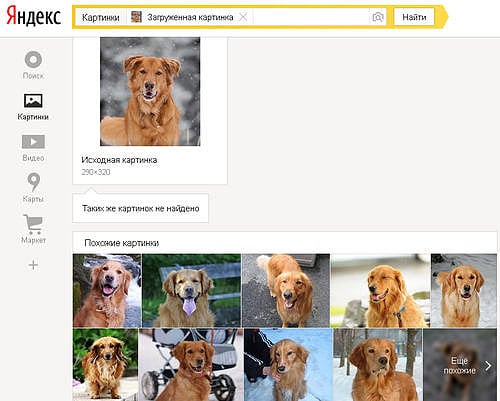 Яндекс.Поиск по картинкам научился искать похожие изображения